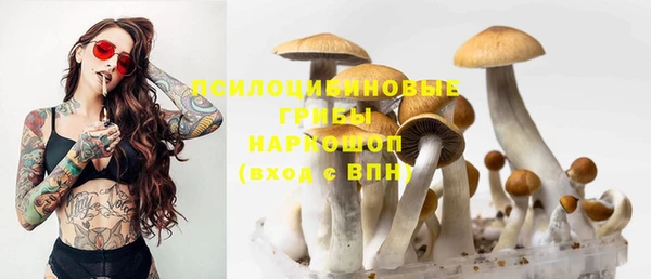 скорость Белокуриха