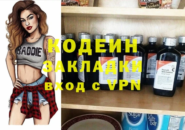 первитин Богородицк