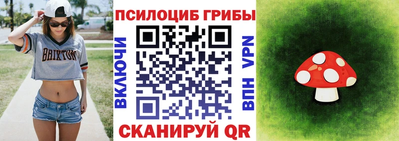 Псилоцибиновые грибы Cubensis  Озёрск 